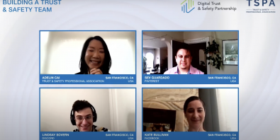screencap of video of TSP DTSP panel participants