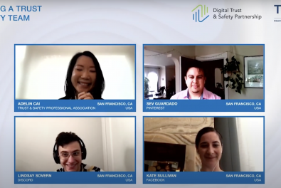 screencap of video of TSP DTSP panel participants