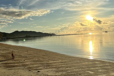 Image of sunrise from shore of a beach